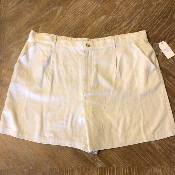 Time And Tru Womens Plus Size Beige Linen Blend Pleated 5” Shorts Size XXXL (22) - Picture 5 of 10
